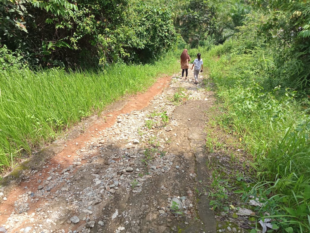 Jalan