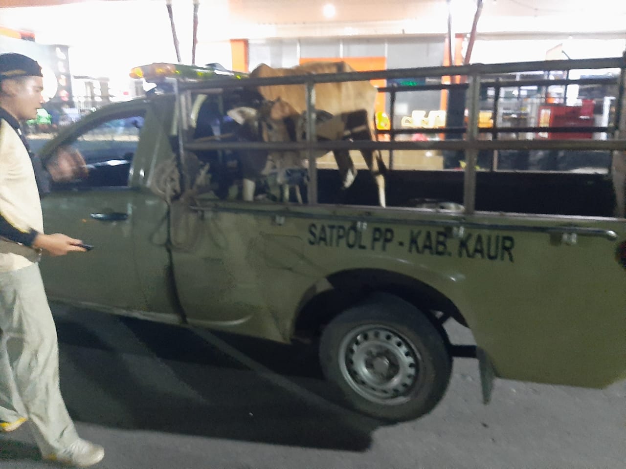 Satpol PP-Damkar kaur