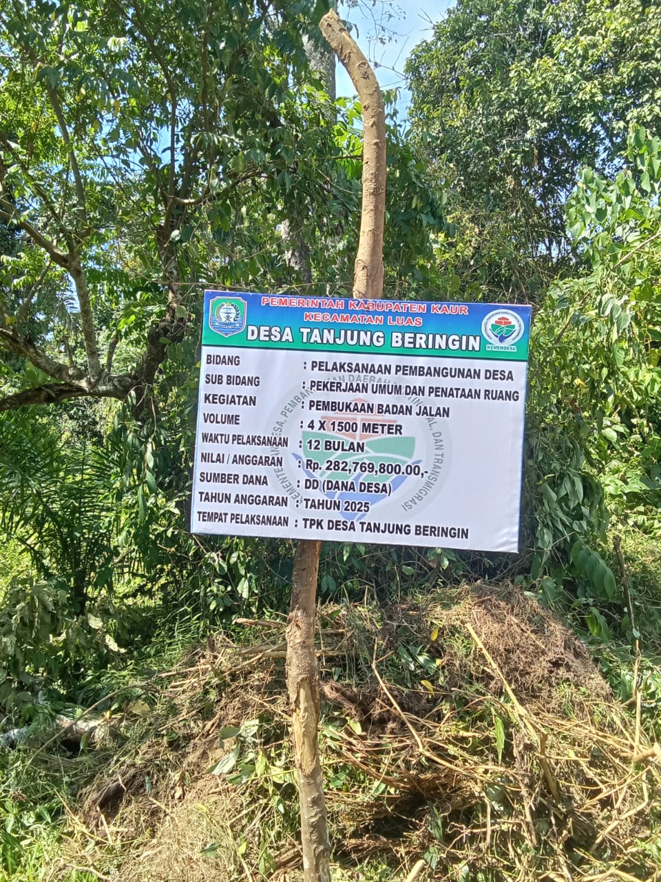 Desa Tanjung Beringin